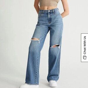 Pacsun Baggy Jeans